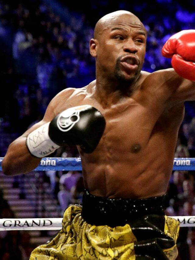 Floyd Mayweather Jr 2013 Poster